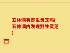 五林洞有野生灵芝吗(五林洞内发现野生灵芝)