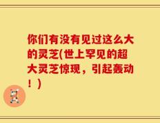 你们有没有见过这么大的灵芝(世上罕见的超大灵芝惊现，引起轰动！)