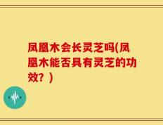 凤凰木会长灵芝吗(凤凰木能否具有灵芝的功效？)