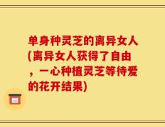 单身种灵芝的离异女人(离异女人获得了自由，一心种植灵芝等待爱的花开结果)