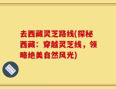 去西藏灵芝路线(探秘西藏：穿越灵芝线，领略绝美自然风光)