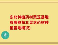 东北种植药材灵芝基地有哪些东北灵芝药材种植基地概况)