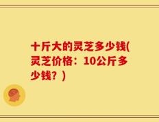 十斤大的灵芝多少钱(灵芝价格：10公斤多少钱？)