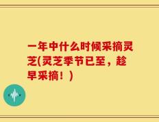 一年中什么时候采摘灵芝(灵芝季节已至，趁早采摘！)