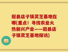 冠县店子镇灵芝基地在哪(重点！寻找农业火热新兴产业——冠县店子镇灵芝基地探访)