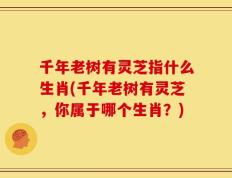 千年老树有灵芝指什么生肖(千年老树有灵芝，你属于哪个生肖？)