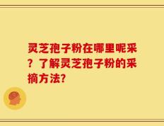 灵芝孢子粉在哪里呢采？了解灵芝孢子粉的采摘方法？