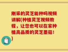 刚采的灵芝能种吗视频讲解(种植灵芝视频教程，让您也可以在家种植高品质的灵芝墨菇！)