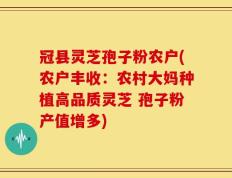 冠县灵芝孢子粉农户(农户丰收：农村大妈种植高品质灵芝 孢子粉产值增多)