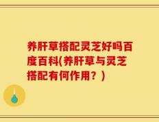 养肝草搭配灵芝好吗百度百科(养肝草与灵芝搭配有何作用？)