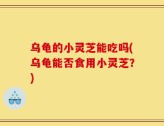 乌龟的小灵芝能吃吗(乌龟能否食用小灵芝？)