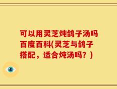 可以用灵芝炖鸽子汤吗百度百科(灵芝与鸽子搭配，适合炖汤吗？)