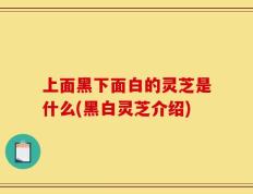 上面黑下面白的灵芝是什么(黑白灵芝介绍)