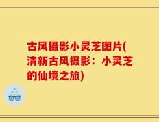 古风摄影小灵芝图片(清新古风摄影：小灵芝的仙境之旅)