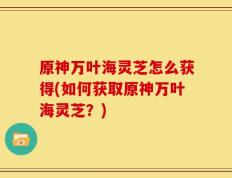 原神万叶海灵芝怎么获得(如何获取原神万叶海灵芝？)
