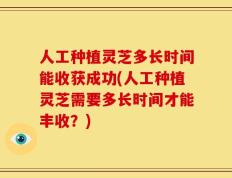 人工种植灵芝多长时间能收获成功(人工种植灵芝需要多长时间才能丰收？)