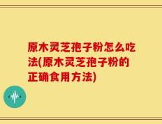 原木灵芝孢子粉怎么吃法(原木灵芝孢子粉的正确食用方法)