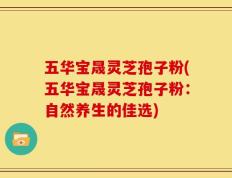 五华宝晟灵芝孢子粉(五华宝晟灵芝孢子粉：自然养生的佳选)
