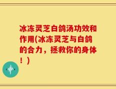 冰冻灵芝白鸽汤功效和作用(冰冻灵芝与白鸽的合力，拯救你的身体！)