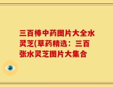 三百棒中药图片大全水灵芝(草药精选：三百张水灵芝图片大集合
