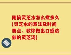刚摘灵芝水怎么煮多久(灵芝水的煮法及时间要点，教你做出口感浓郁的灵芝汤)