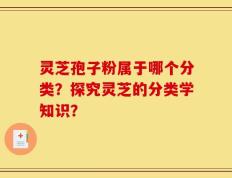 灵芝孢子粉属于哪个分类？探究灵芝的分类学知识？