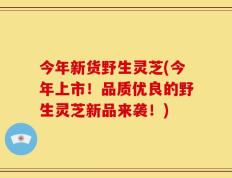 今年新货野生灵芝(今年上市！品质优良的野生灵芝新品来袭！)