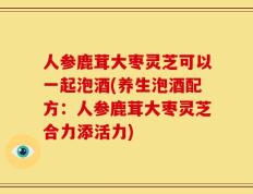 人参鹿茸大枣灵芝可以一起泡酒(养生泡酒配方：人参鹿茸大枣灵芝合力添活力)