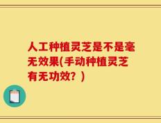 人工种植灵芝是不是毫无效果(手动种植灵芝有无功效？)