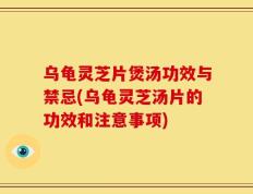 乌龟灵芝片煲汤功效与禁忌(乌龟灵芝汤片的功效和注意事项)