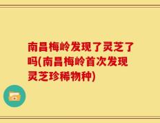 南昌梅岭发现了灵芝了吗(南昌梅岭首次发现灵芝珍稀物种)