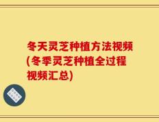 冬天灵芝种植方法视频(冬季灵芝种植全过程视频汇总)