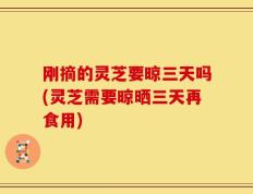 刚摘的灵芝要晾三天吗(灵芝需要晾晒三天再食用)