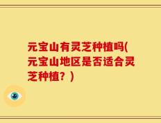 元宝山有灵芝种植吗(元宝山地区是否适合灵芝种植？)