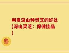 利用深山种灵芝的好处(深山灵芝：保健佳品)