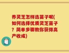 养灵芝怎样选苗子呢(如何选择优质灵芝苗子？简单步骤教你获得高产收成)