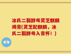 冰氏二裂酵母灵芝麒麟竭膏(灵芝配麒麟，冰氏二裂酵母入膏怀！)