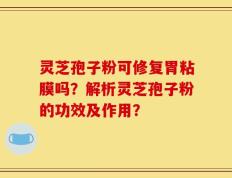 灵芝孢子粉可修复胃粘膜吗？解析灵芝孢子粉的功效及作用？