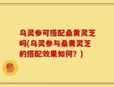 乌灵参可搭配桑黄灵芝吗(乌灵参与桑黄灵芝的搭配效果如何？)