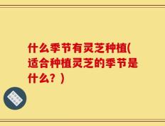 什么季节有灵芝种植(适合种植灵芝的季节是什么？)