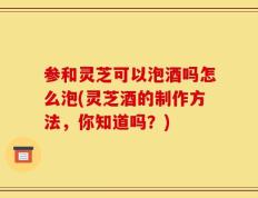 参和灵芝可以泡酒吗怎么泡(灵芝酒的制作方法，你知道吗？)