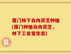 厦门林下白肉灵芝种植(厦门种植白肉灵芝，林下工业变生态)