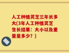 人工种植灵芝三年长多大(3年人工种植灵芝生长结果：大小以及重量是多少？)