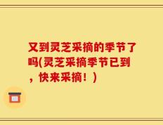 又到灵芝采摘的季节了吗(灵芝采摘季节已到，快来采摘！)