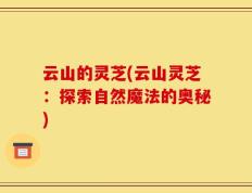 云山的灵芝(云山灵芝：探索自然魔法的奥秘)