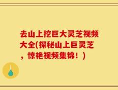 去山上挖巨大灵芝视频大全(探秘山上巨灵芝，惊艳视频集锦！)