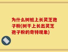 为什么树桩上长灵芝孢子粉(树干上长出灵芝孢子粉的奇特现象)