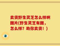 卖货野生灵芝怎么样啊图片(野生灵芝有图，怎么样？助你卖货！)