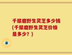 千层磨野生灵芝多少钱(千层磨野生灵芝价格是多少？)