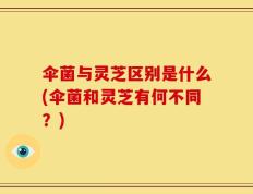 伞菌与灵芝区别是什么(伞菌和灵芝有何不同？)